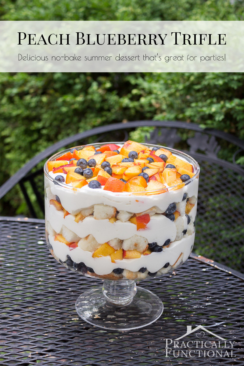 Summer Peach Blueberry Trifle Recipe Practically Functional
