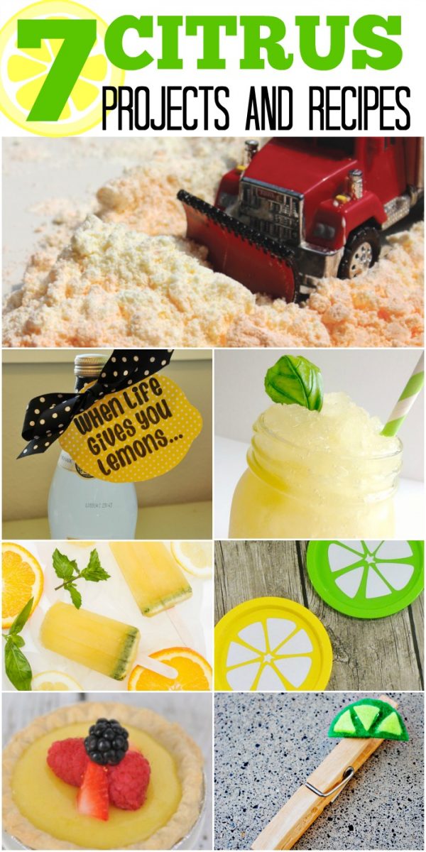 collage of citrus recipes and diy projects