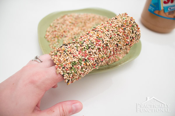 toilet paper roll covered in peanut butter and rolled in bird seed to create a bird feeder