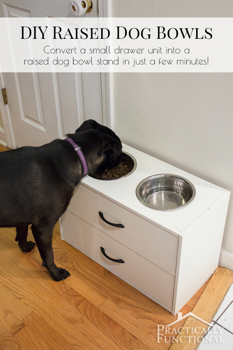 https://www.practicallyfunctional.com/wp-content/uploads/2016/08/Turn-a-small-dresser-into-a-DIY-raised-dog-bowl-stand-just-by-cutting-two-holes-in-the-top-it-takes-less-than-half-an-hour.jpg