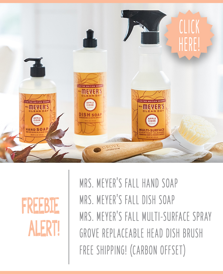 Free mrs. meyers fall scents trio and dish brush from grove collaborative practically functional image