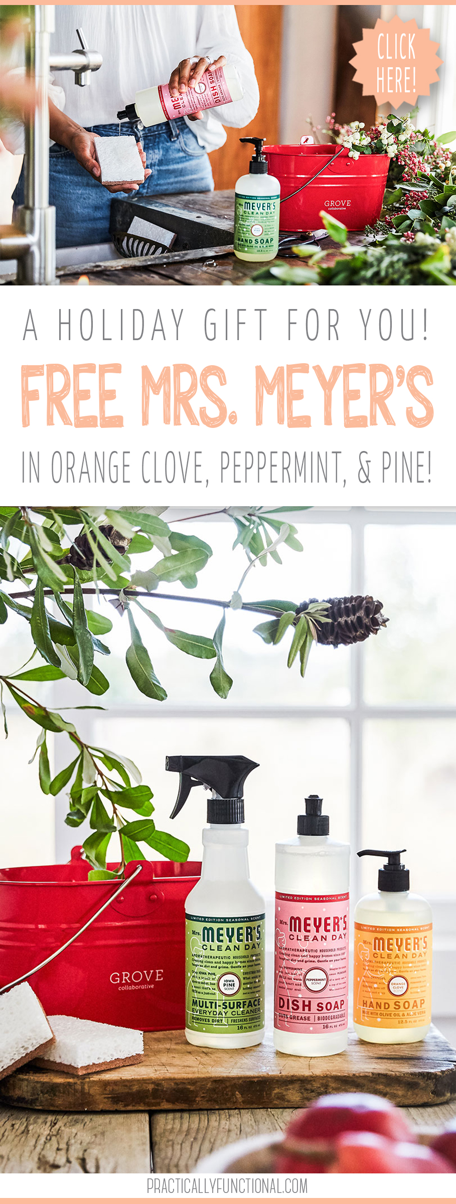 Free mrs. meyers holiday scents pin