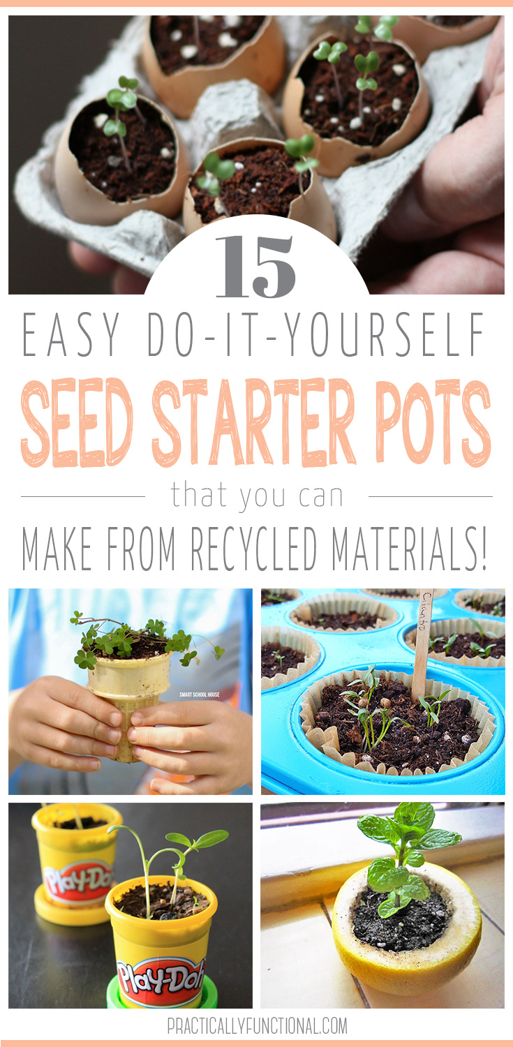 4 Seed Starter Pots You Can Make with Upcycled Household Items