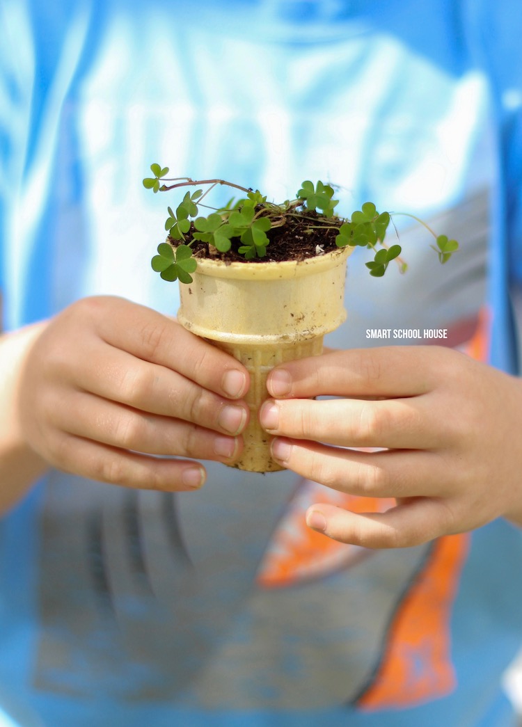 DIY seed starter pots from ice cream cones