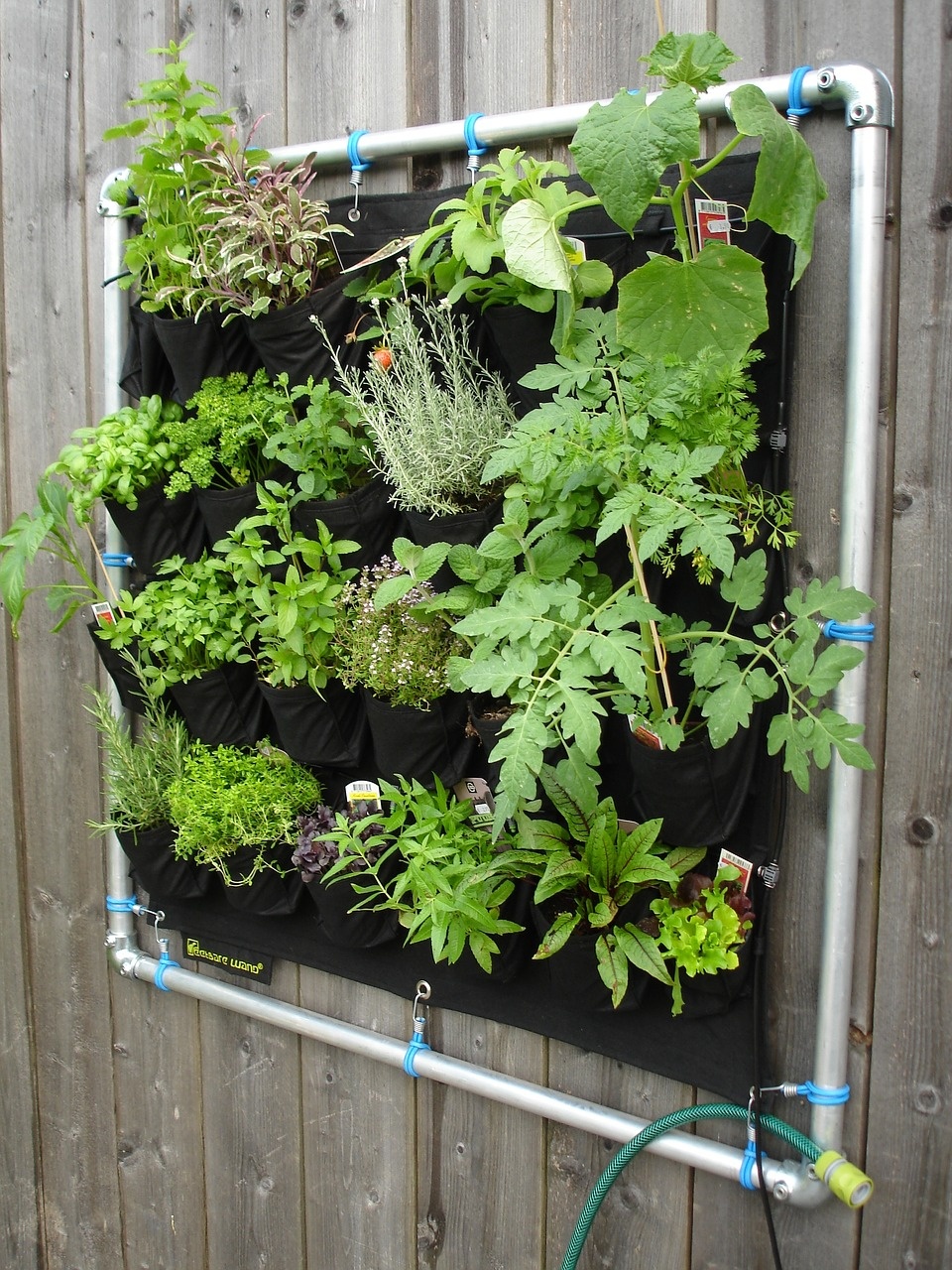how to hang a create a vertical garden
