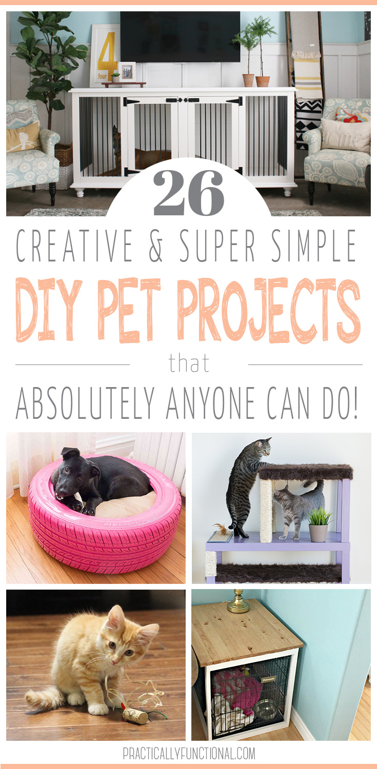 26 super simple diy pet projects anyone can do