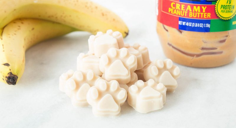 Peanut butter banana yogurt dog treat recipe and 25 other simple diy pet projects anyone can do