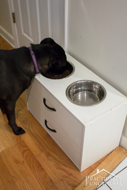 Turn a small dresser into a simple diy raised dog bowl stand in just a few minutes all you need is a jigsaw and 25 other simple diy pet projects anyone can do