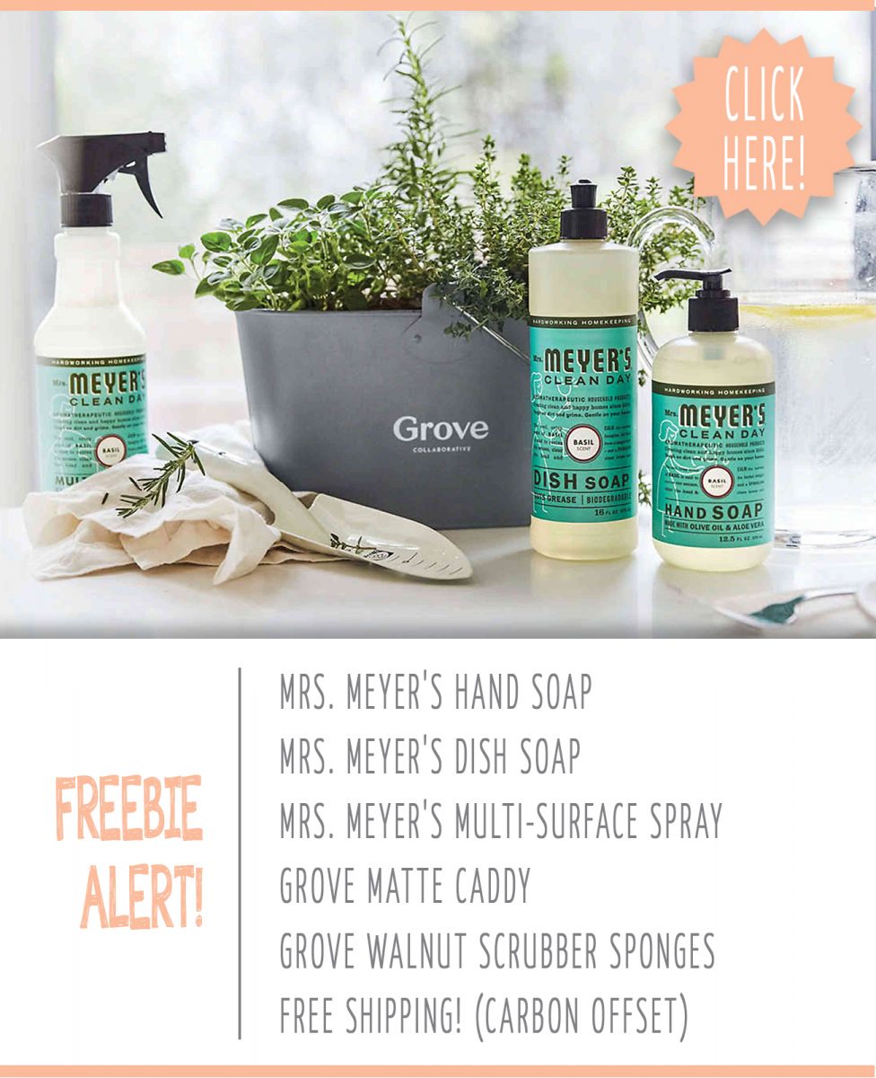 Free mrs. meyers cleaning products and caddy from grove collaborative image