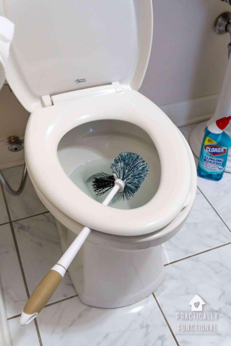 Let your toilet brush drip dry after cleaning with toilet bowl cleaner
